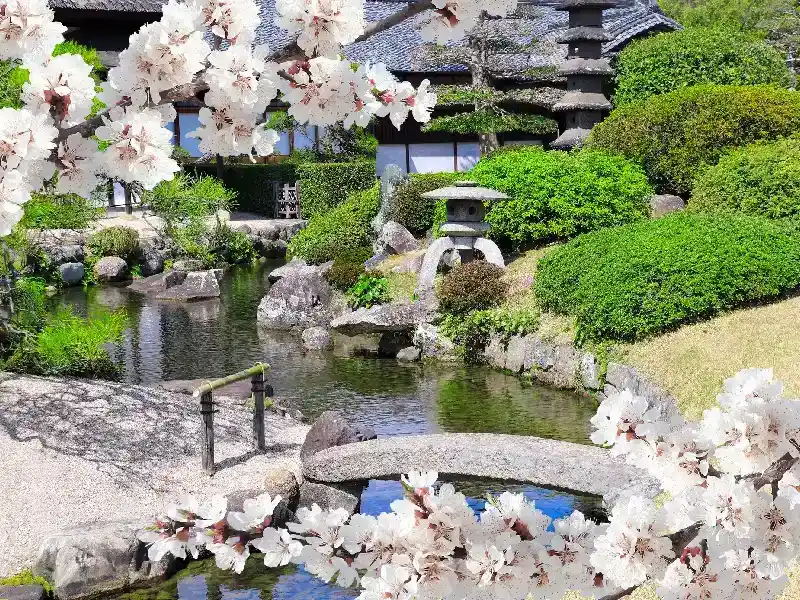 Tour por Japón 8 días, Japón en 8 días